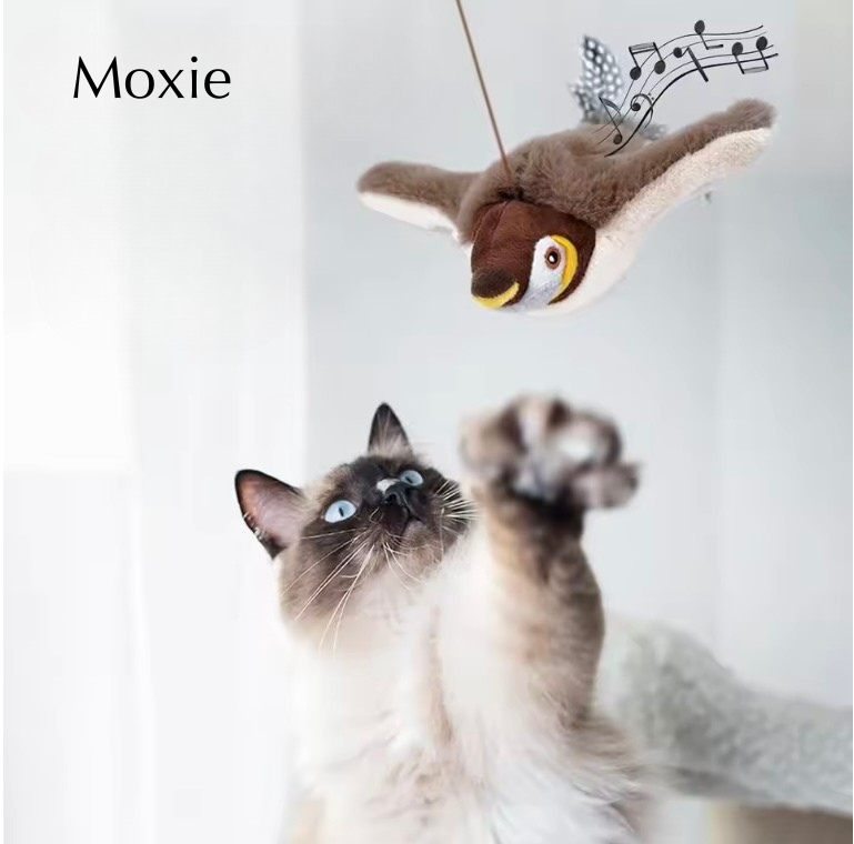Moxie Bird Toy - Your cat's new favourite!