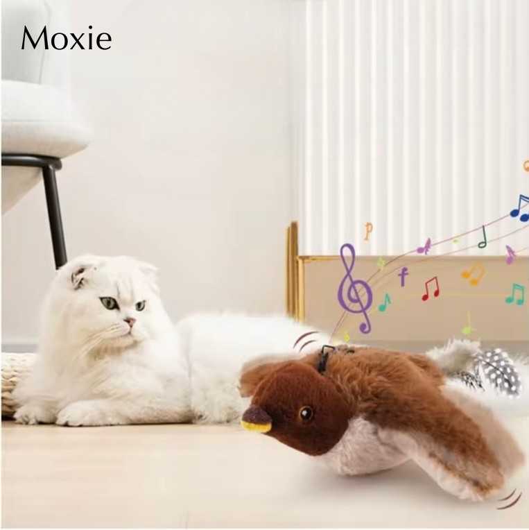 Moxie Bird Toy - Your cat's new favourite!