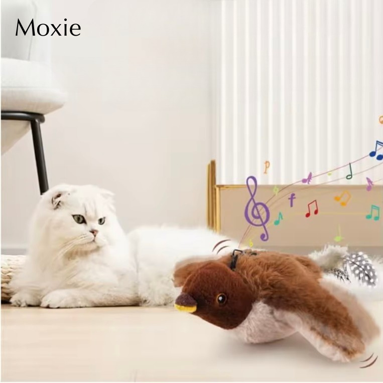 Moxie-Vogelspielzeug – das neue Lieblingsspielzeug Ihrer Katze!