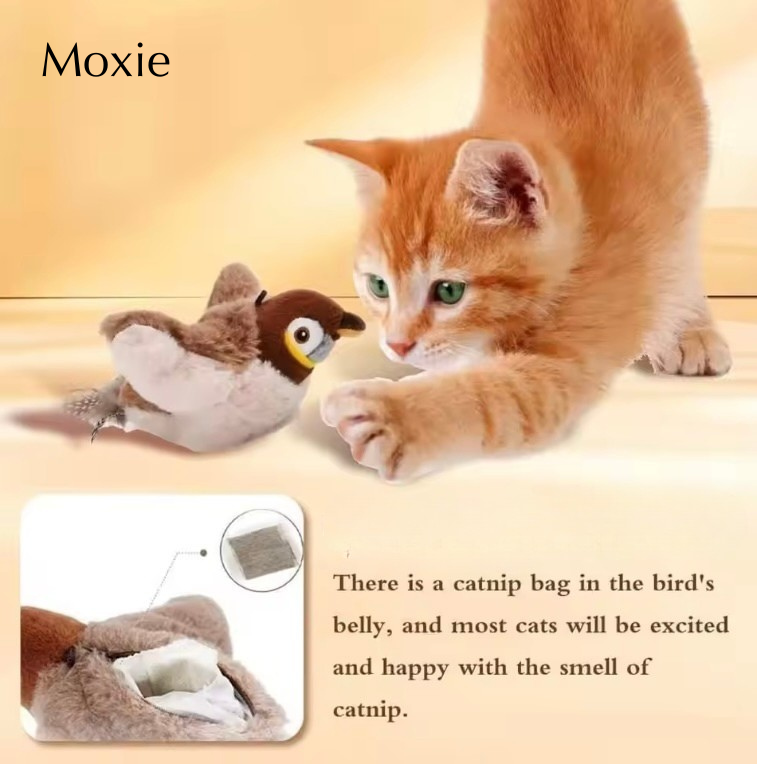 Moxie Bird Toy - De nieuwe favoriet van uw kat!